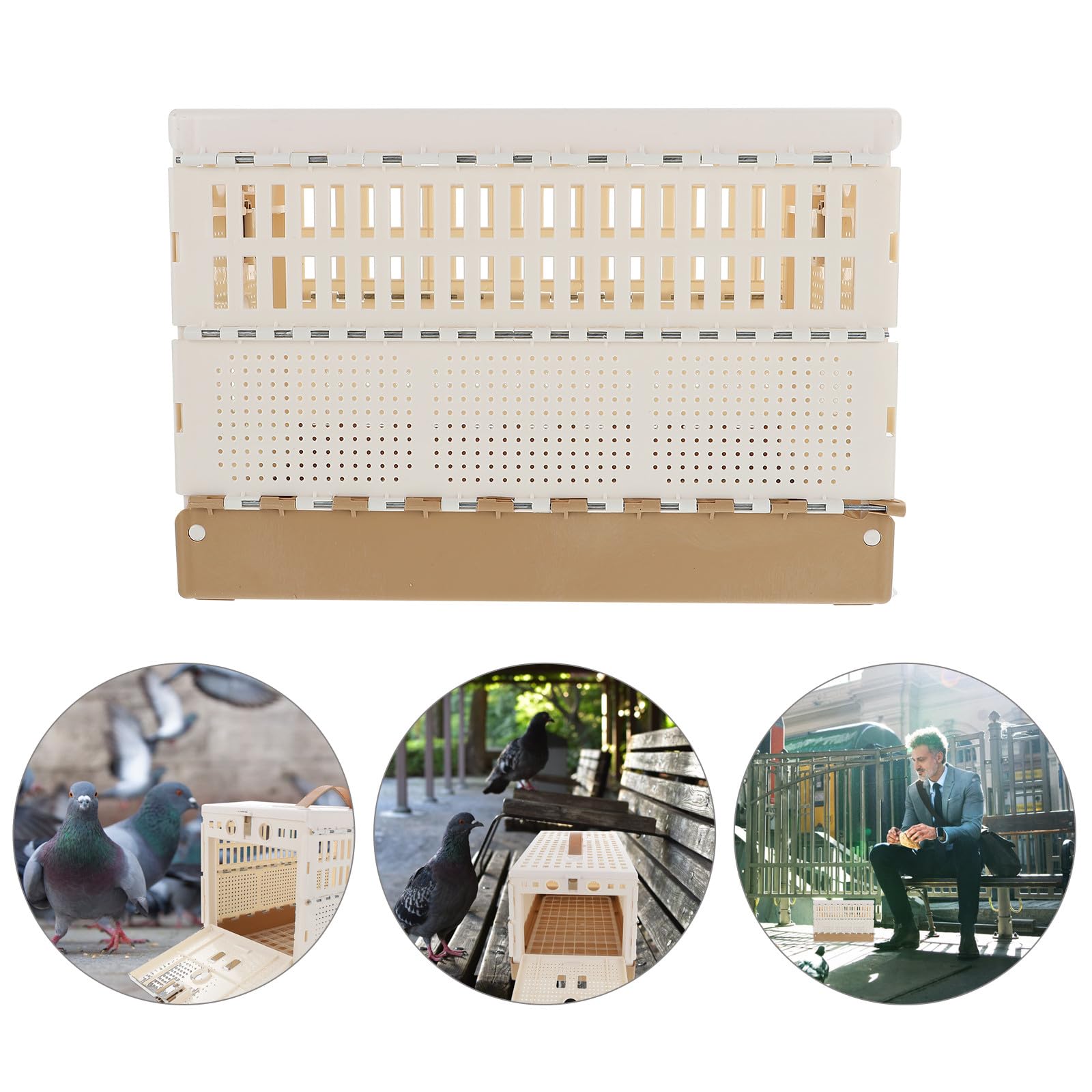 GANAZONO Jaula de Transporte para Palomas Plegable de Plástico Pestillo Seguro y Bandeja Extraíble 12.6X8.7X7.9 Pulgadas Adecuado para Domesticación y Uso Exterior