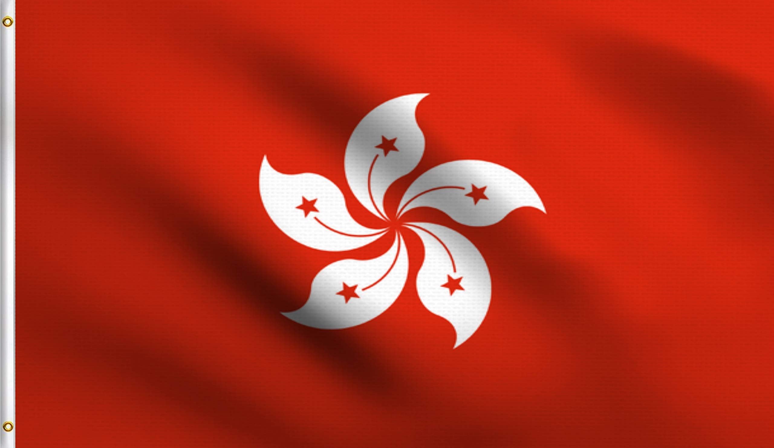DMSE Wholesale Hong Kong Special Administrative Region of The People's Republic of China Flag 3X5 Ft Foot 100% Polyester 100D Flag UV Resistant (3' X 5' Ft Foot)