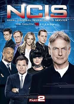 Amazon.co.jp: NCIS ネイビー犯罪捜査班 シーズン12 DVD-BOX
