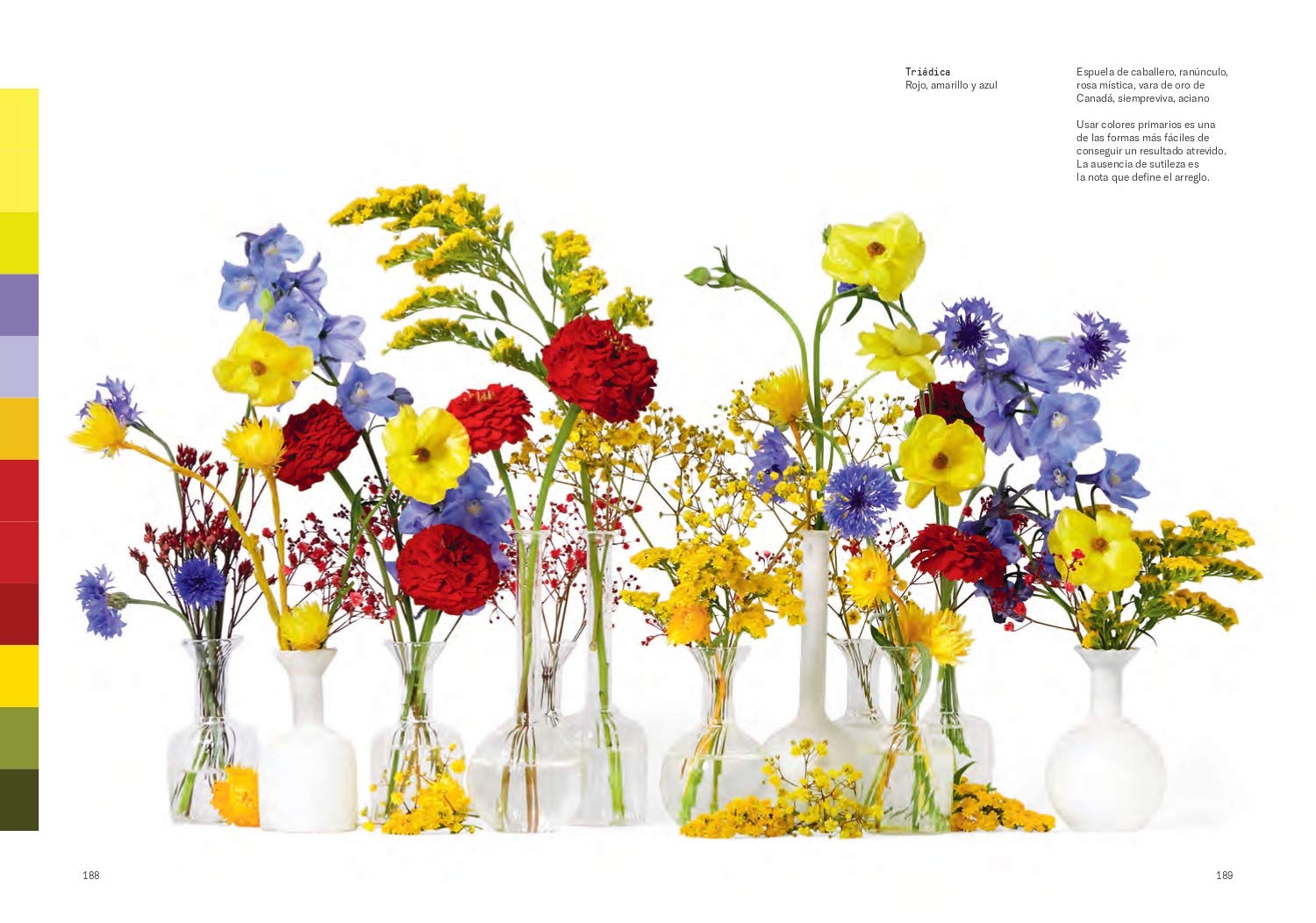 ESP Flores: La teoría del color (DESIGN)