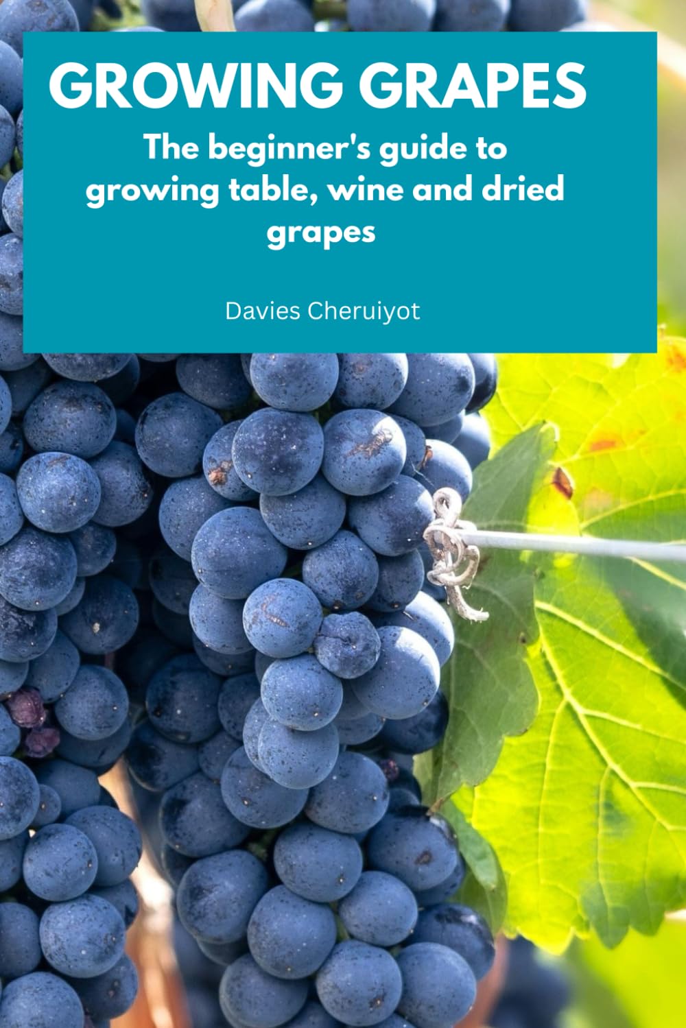 GROWING GRAPES: The beginner's guide to growing table, wine and dried grapes (Fruits farming)
