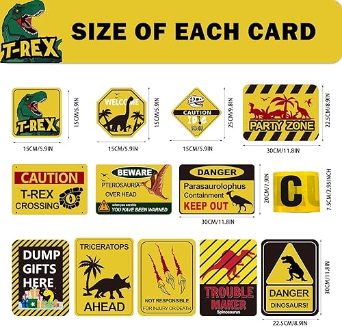 Miniatura 2 de 13 piezas de suministros de fiesta de cumpleaños de dinosaurios, decoraciones de fiesta para niños y niños, baby shower, decoración de pared