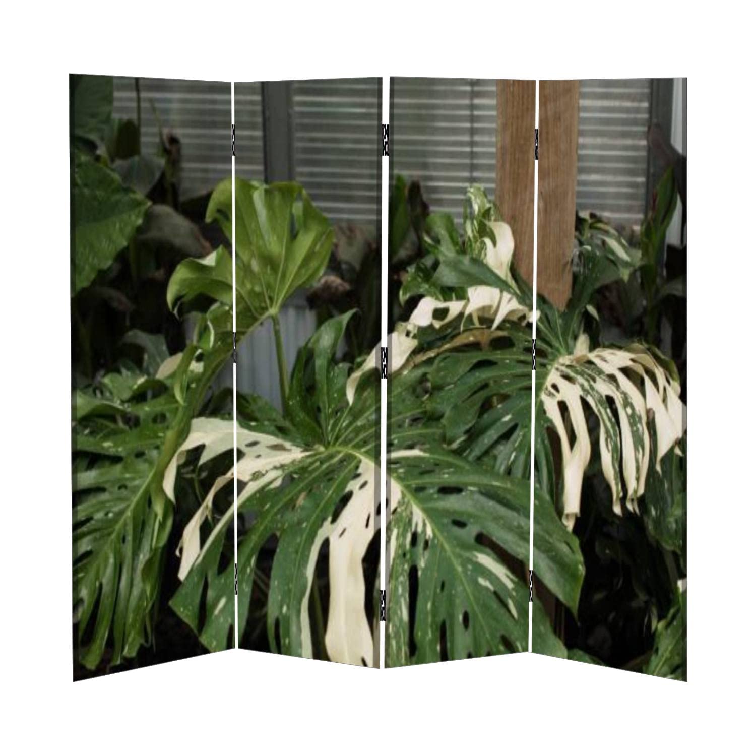 Buy Canvas Partition Room Divider Screen Giant White Variegated