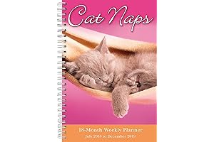 Cat Naps 2019 Cat Calendars