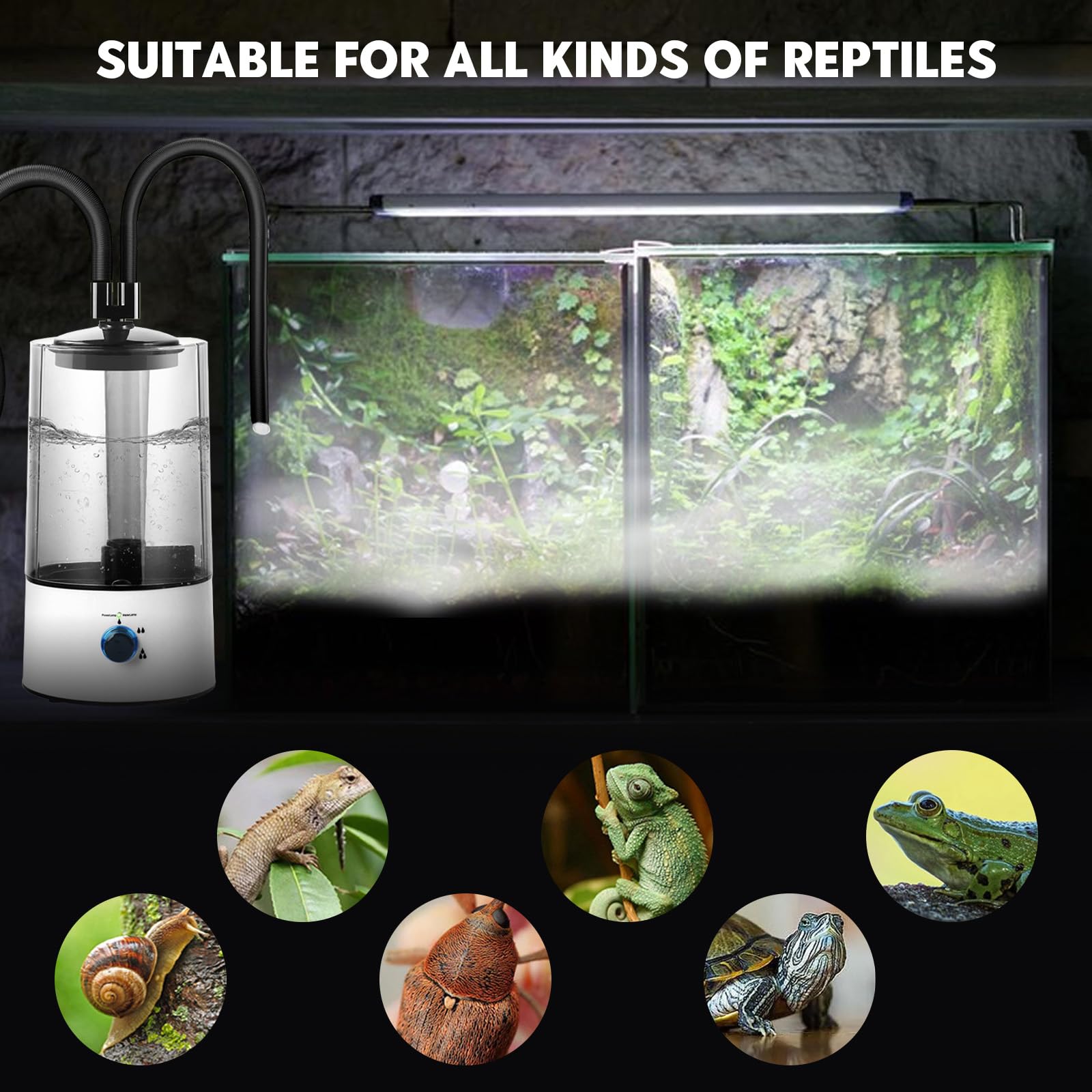 4L Humidificador para Terrarios de Reptiles, Nebulizador con doble Barril Extensible y Ajuste de Pulverización en tres Etapas, Humidificador para Terrarios de Reptiles