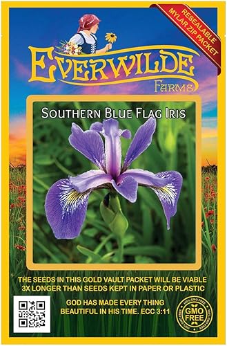Everwilde Farms - 15 semillas de flores silvestres nativas de iris de bandera azul del sur - Paquete de semillas jumbo Gold Vault