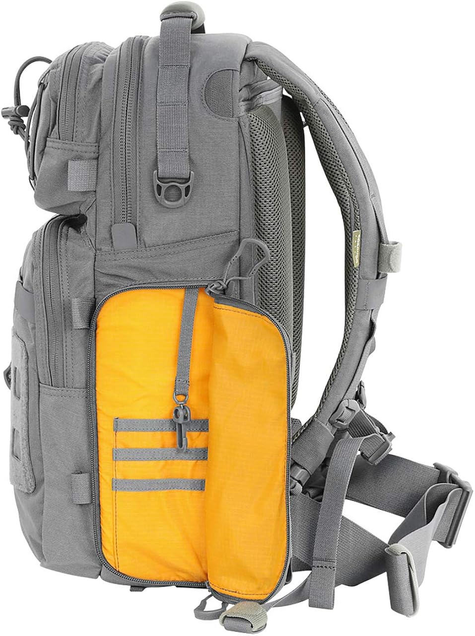 vanquest trident 31 amazon