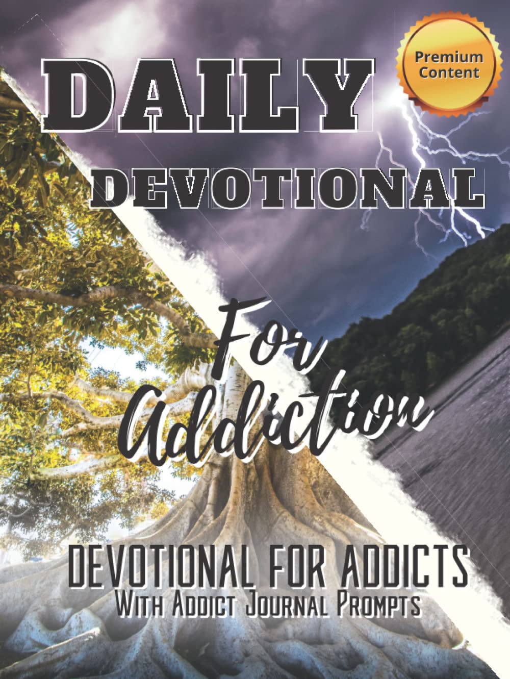 Daily Devotional for Addiction, Devotional for Addicts: Addict Journal Prompts to Help With Recovery After Rehab, Gift for Someone in Recovery