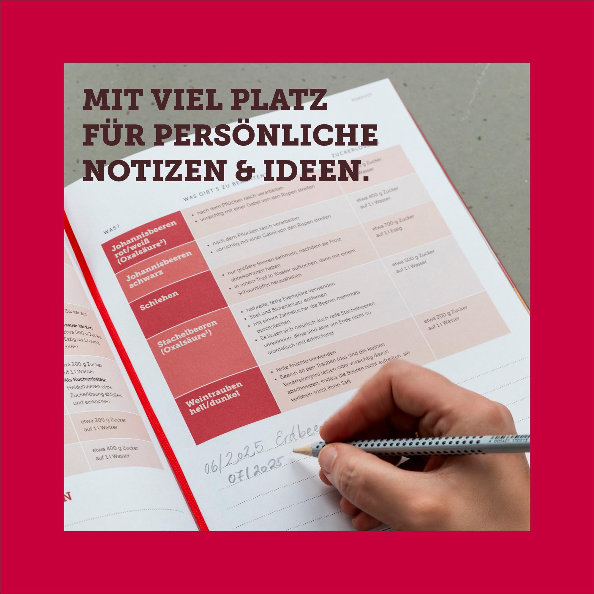 Weck Das original Einkochbuch: Grundlagen, Rezeptideen, Tipps & Tricks zum Einwecken & Fermentieren