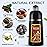 cosmpro Brown Hair Dye Shampoo for Gray Hair Coverage Hair Color Shampoo Herbal Hair Dye Shampoo 3 in 1 for Men and Women, Instant Color Shampoo Hair Shampoo Champu Con Tinte Para Canas (Brown)
