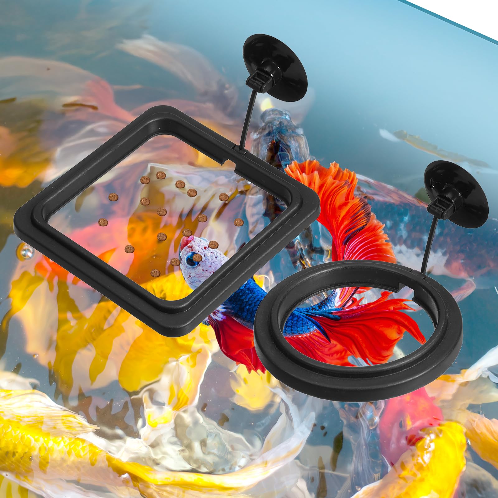 Lot de 2 anneaux d'alimentation pour poissons d'aquarium - Avec ventouses - Distributeur automatique de nourriture pour poissons rouges Bettas - Tortue - Noir