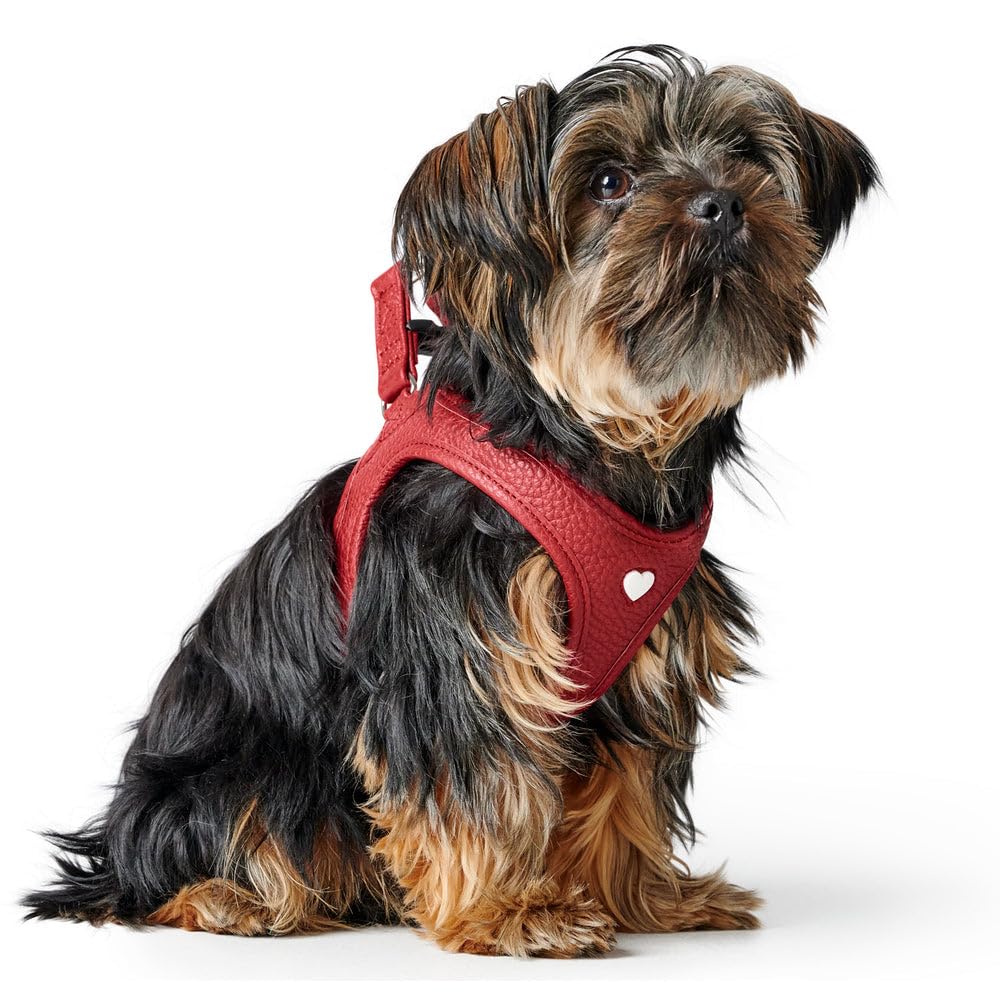 Hunter Hundegeschirr Love, Farbe: rot, weiches Rindsleder, atmungsaktive Mesh-Polsterung, Herz handgenäht, hoher Komfort, Made in Germany, Größe: XS