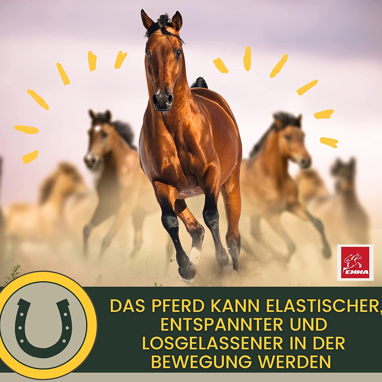 MSM Pferd Weidenrinde Pferd Equi P Booster Vitamin Paste für Gelenke Glucosamin Chondroitin MSM hochdosiert Vitamin C Bierhefe Bewegungsapparat Sehnen Bänder Knorpel Senioren Pferde 4 Stück