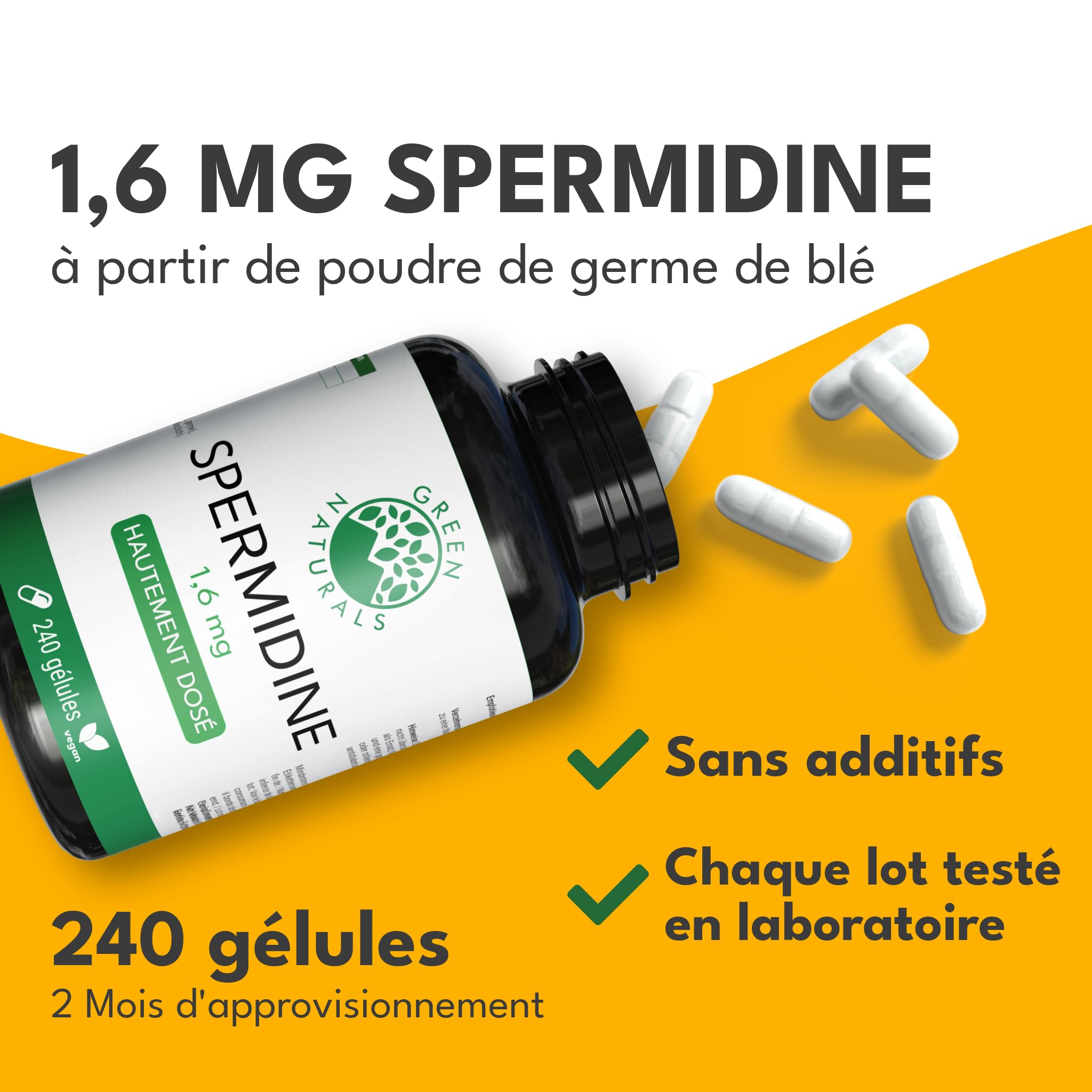 Green Naturals® Spermidine Gélules – 1,6 mg par dose journalière à partir d’extrait de germe de blé – 240 gélules pour 2 mois – Complément alimentaire – Fabriqué en Allemagne