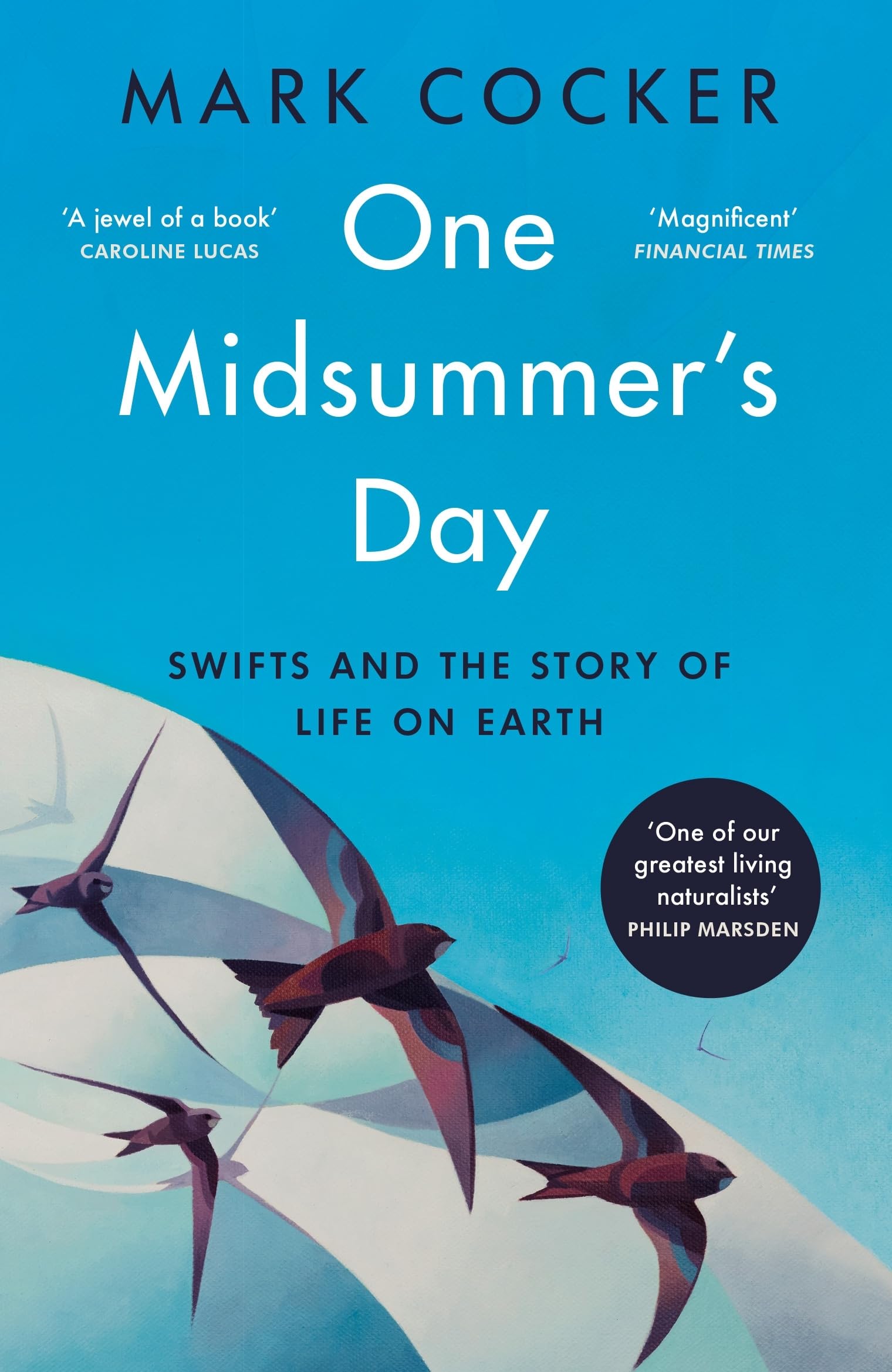 One Midsummer's Day: The story of all life on Earth told through the flight of a single bird