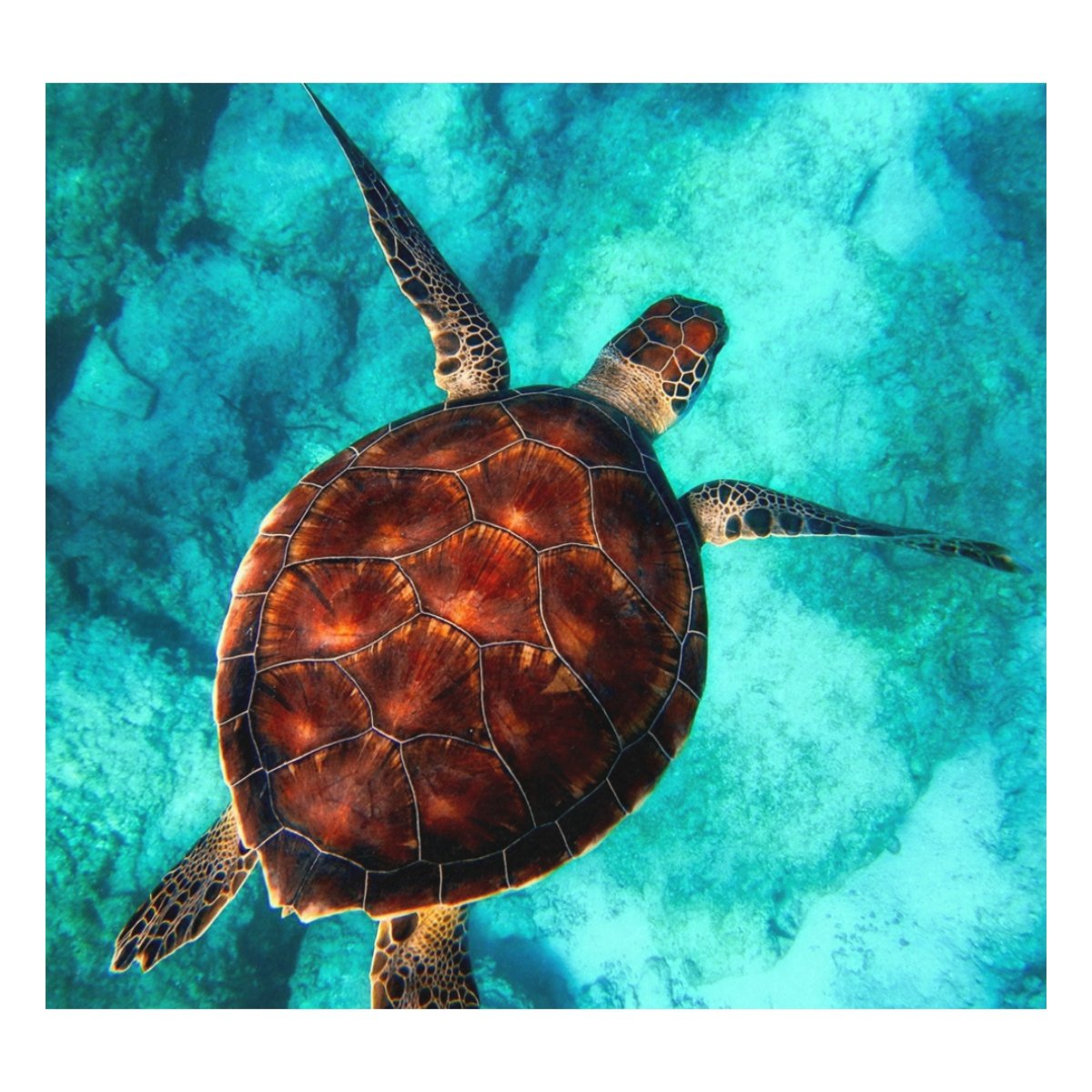 THERMOcafé By THERMOS TC Desktop Cup Tasse Isotherme En Acier Inoxydable Et Plastique, Avec Couvercle, Anti-Renversement Pour Bureau, Camping, Tasse De Bureau, S'adapte Sous La Machine à Café Violet