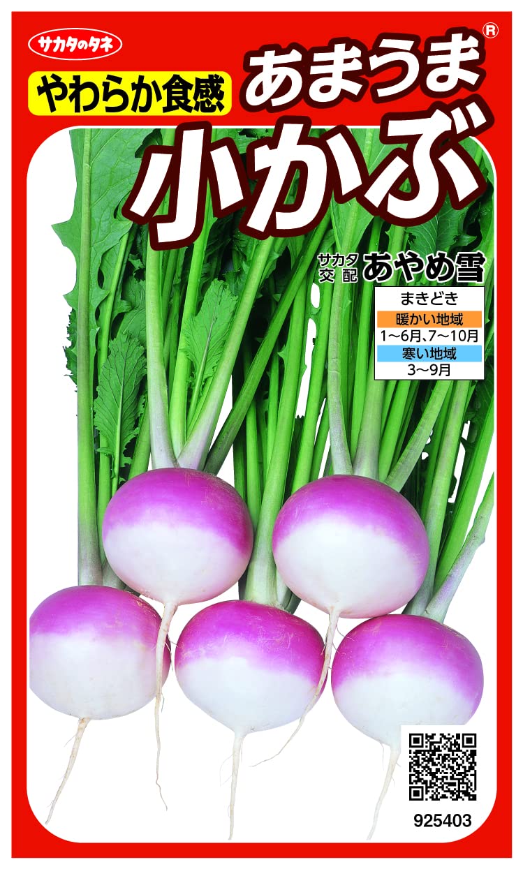 サカタのタネ 実咲野菜 カブ 金町小かぶ