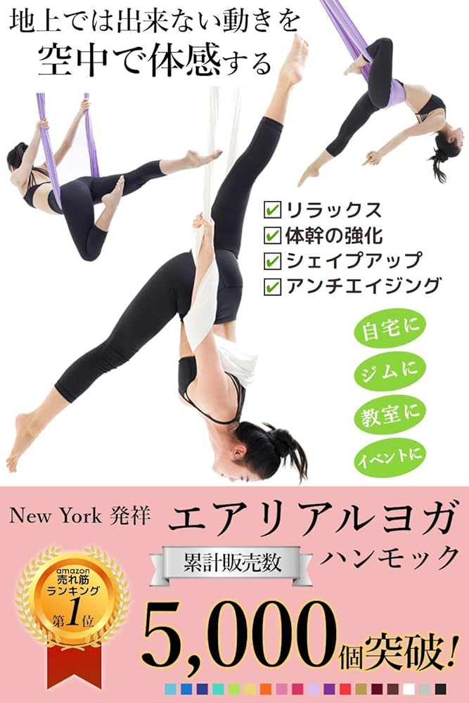 Amazon | (ギグアント) GiGant エアリアルヨガ 専用 5m×2.8m