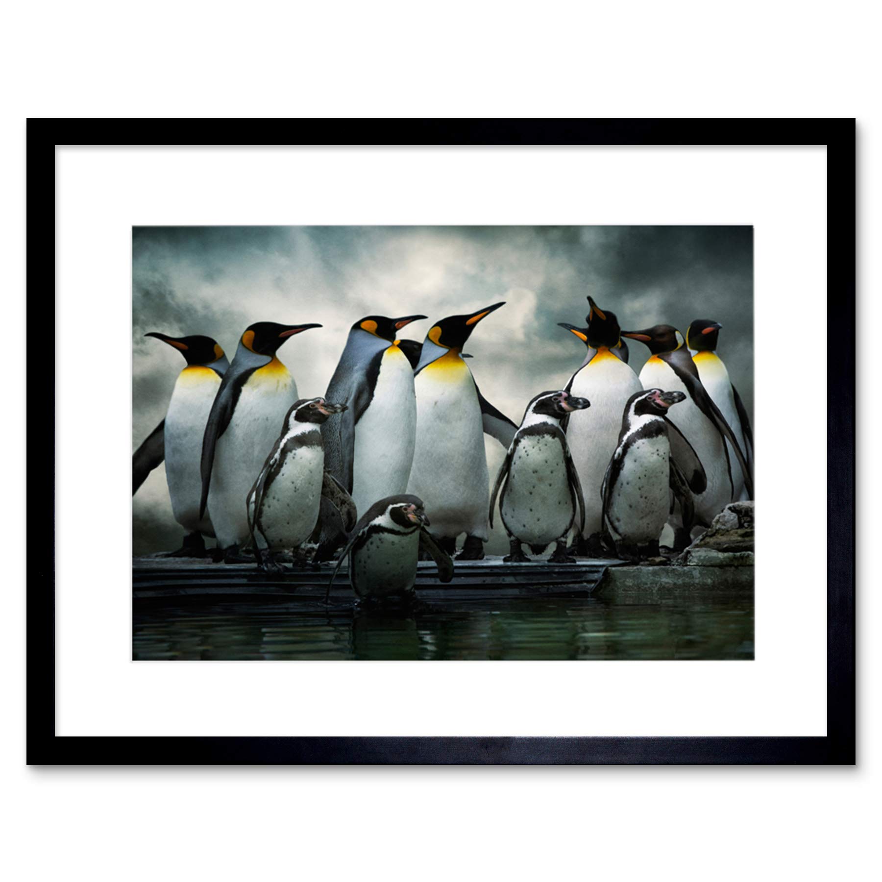 Wee Blue Coo Photo Nature Emperor Penguin Birds Framed Wall Art Print
