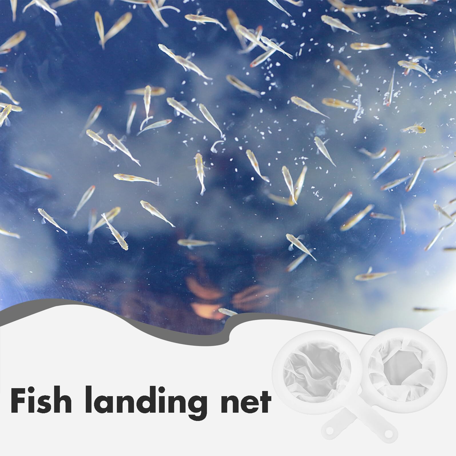 2 Stück Aquarium Fischernetz aus Pp und Polyester Feinmaschig 100 und 400 Mesh Leicht zu Tragen und Praktisch zu Verstauen für Garnelen und Fische im Aquarium