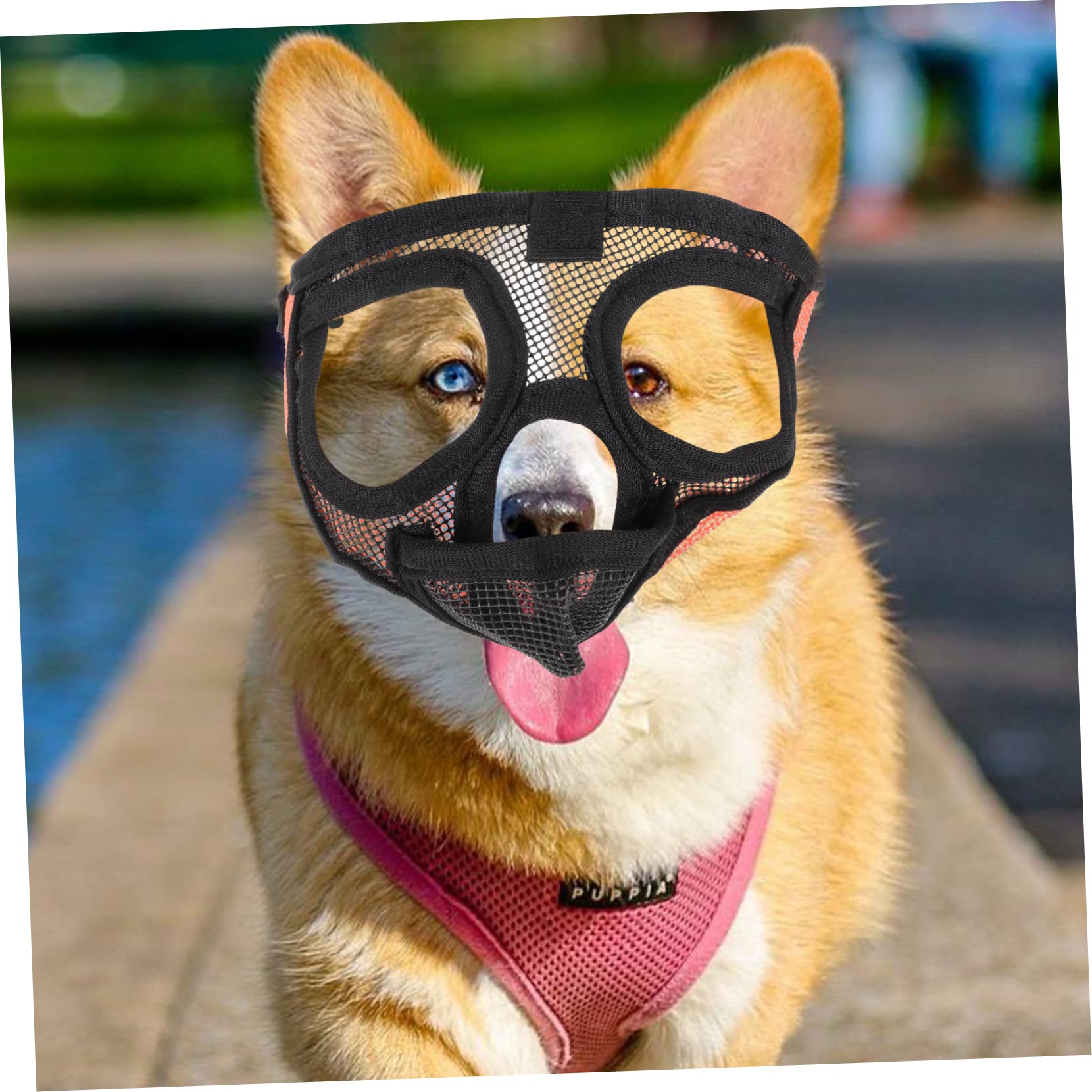 INOOMP 4pièces Muselière Respirante pour Chien Muselière Anti-aboiement Et Anti-Morsure avec Design Léger Et Confortable