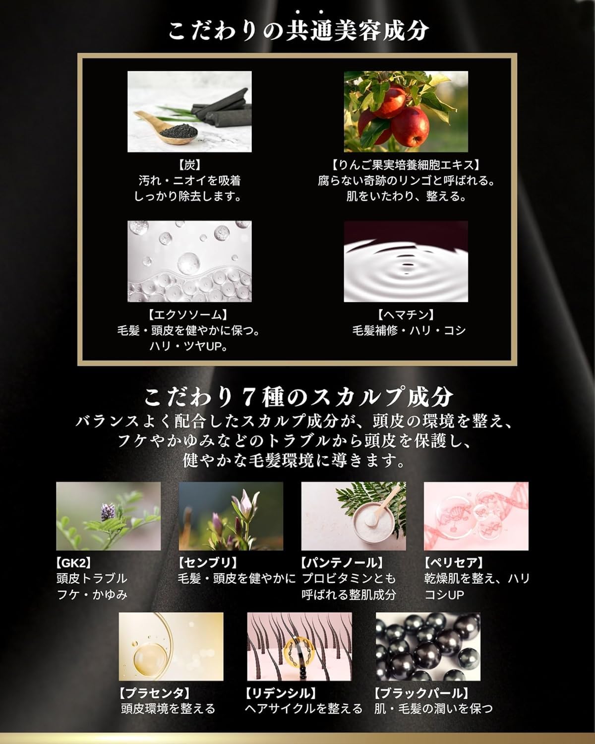 Amazon | SILK THE RICH (シルクザリッチ) シャンプー トリートメント