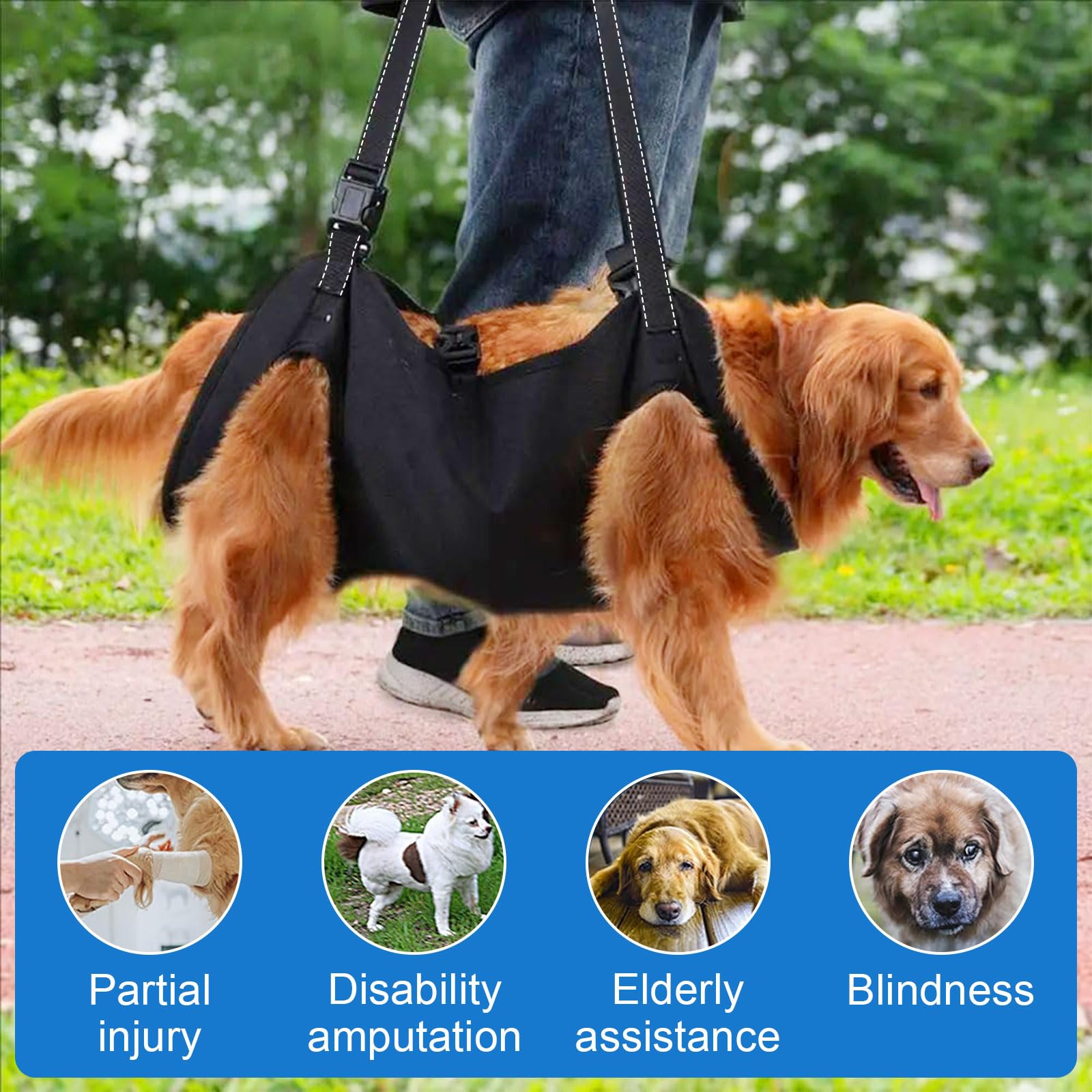Hunde Tragehilfe Geschirr - Verstellbare Stütze Für Hinterbeine & Hüfte