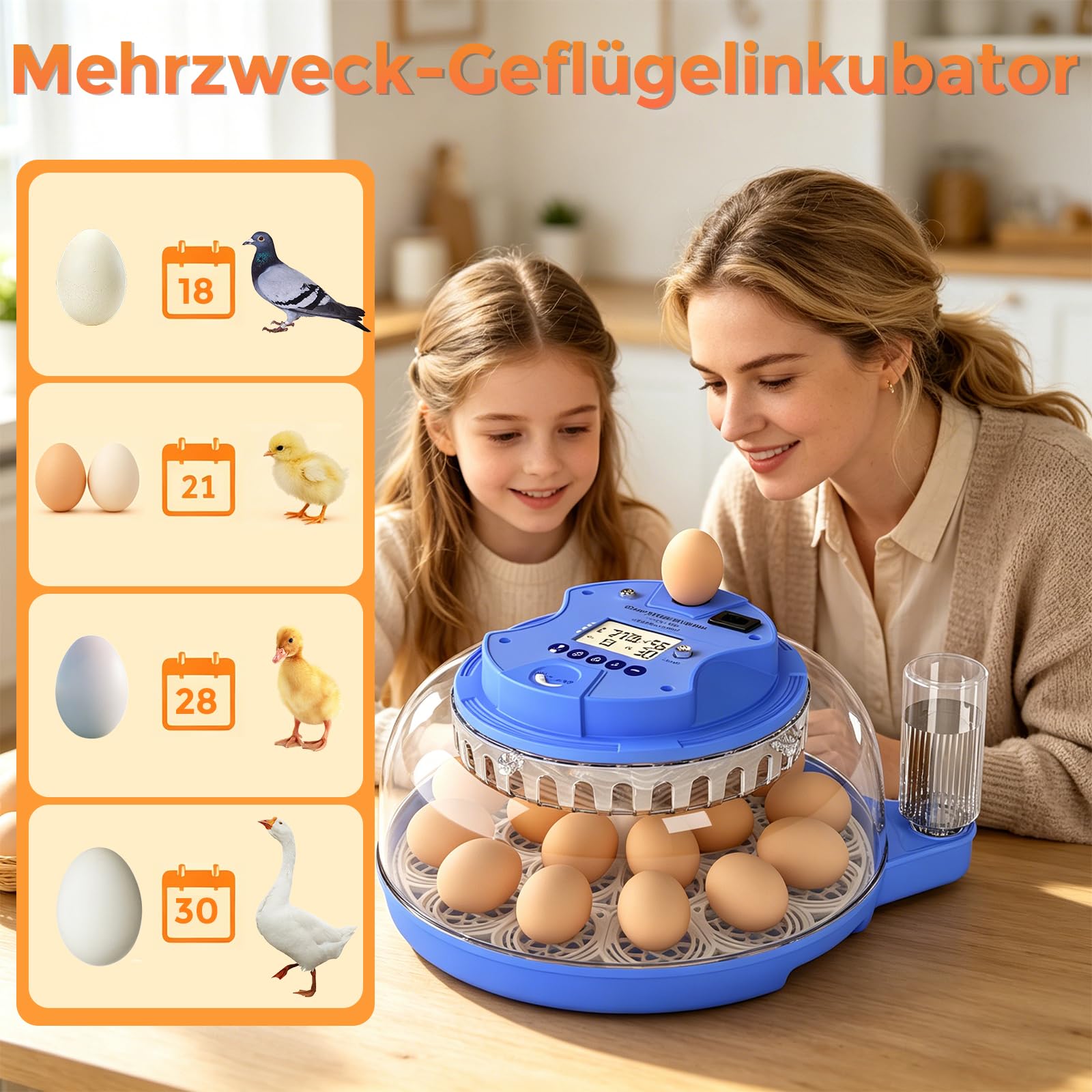 Couveuse Oeuf Automatique,Ambesty Incubateur 18 Oeuf de Poule avec Humidité+Rotation Automatique+Mire-œufs, Contrôle Numérique de la Température pour l'incubation des Poussin et Cailles