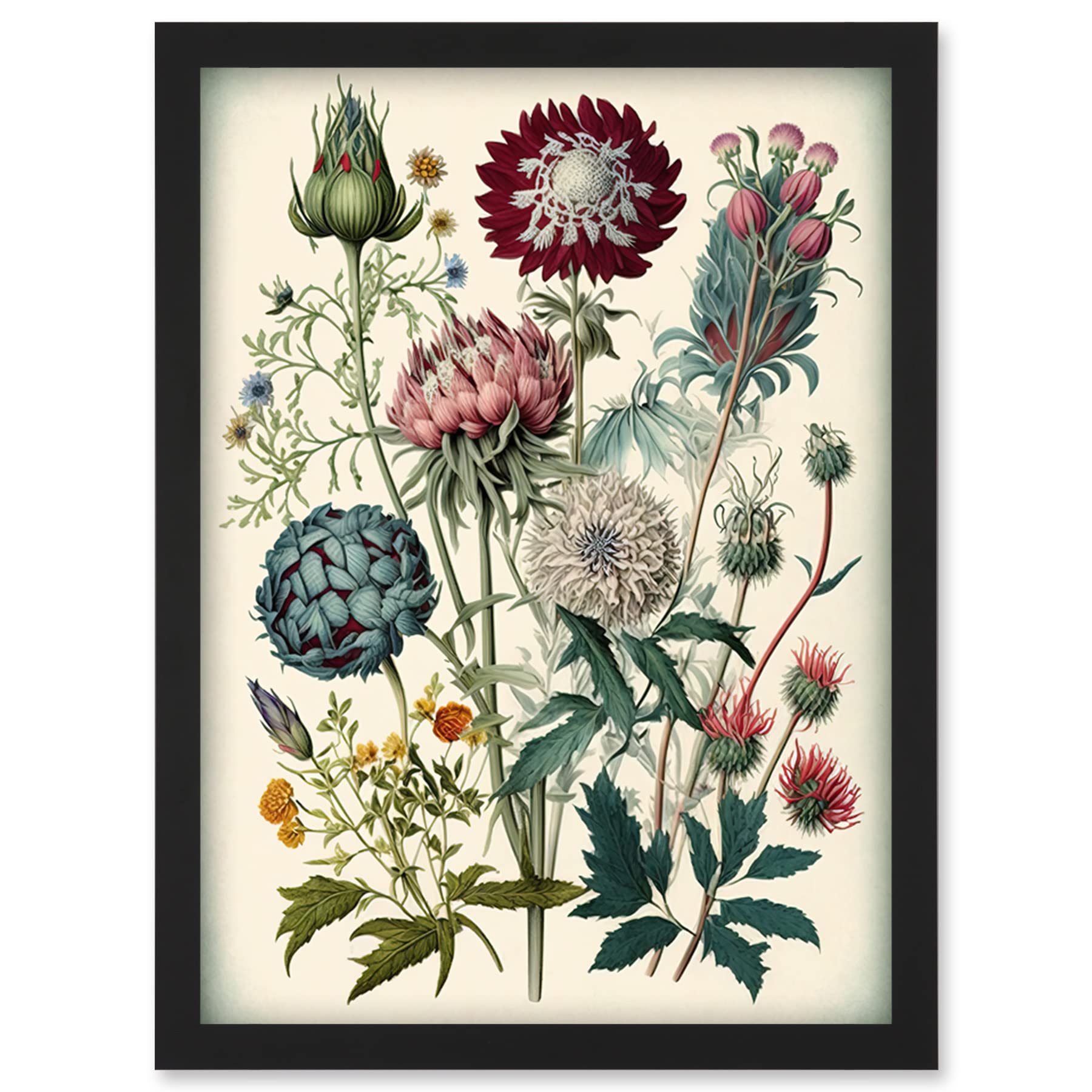Ernst Haeckel Style Vintage Botanical Plant Study Framed Art Picture Print A4