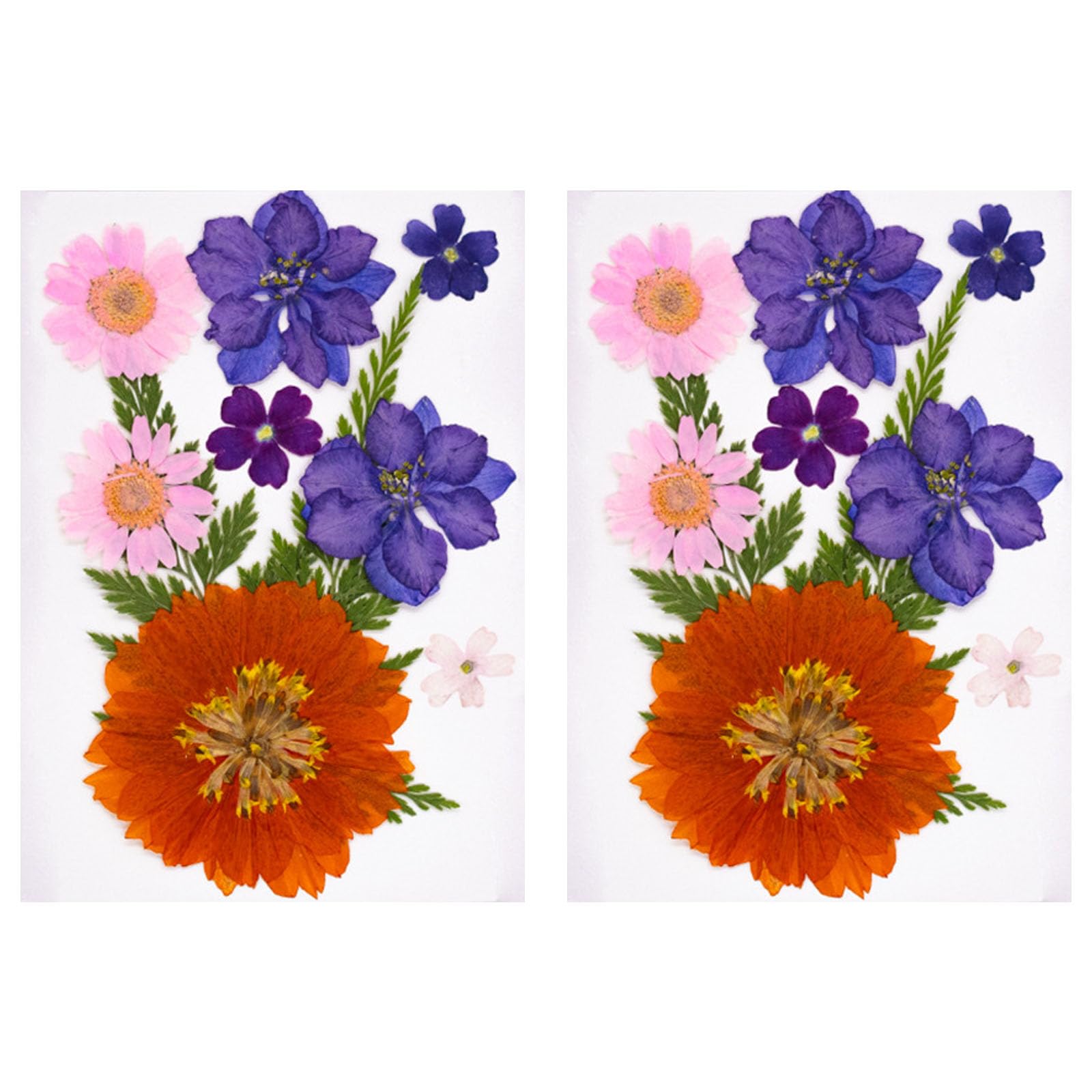 Tsophreniq 20Pcs Natural Dried Flower for Bookmarks Jewelry Making Natural Pressed Dried Flower Leaves for Art Craft Pressed Craft Supplies