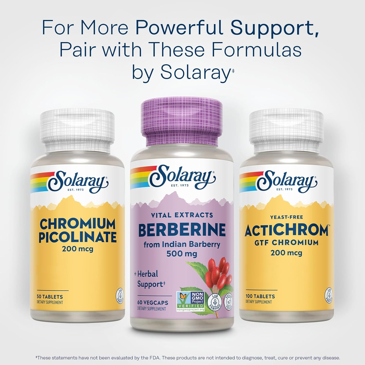 SOLARAY Berberine 500mg - Berberine Supplement for a Healthy, Active Lifestyle - with Berberine HCl from Indian Barberry - Vegan, Non-GMO, 60-Day Guarantee - 60 Servings, 60 VegCaps (60 CT) - Image 6