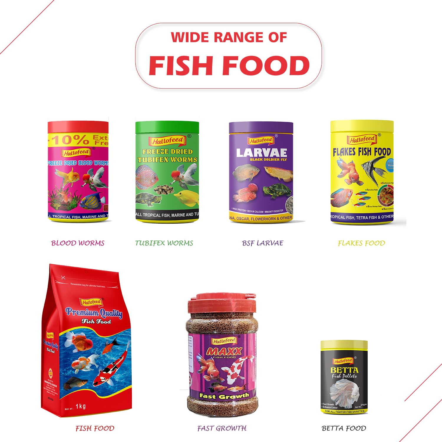 ASP 3 in 1 Fish Medicine Pack 500 Ml Each (Anti Chlorine, Anti Ich, General Aid)