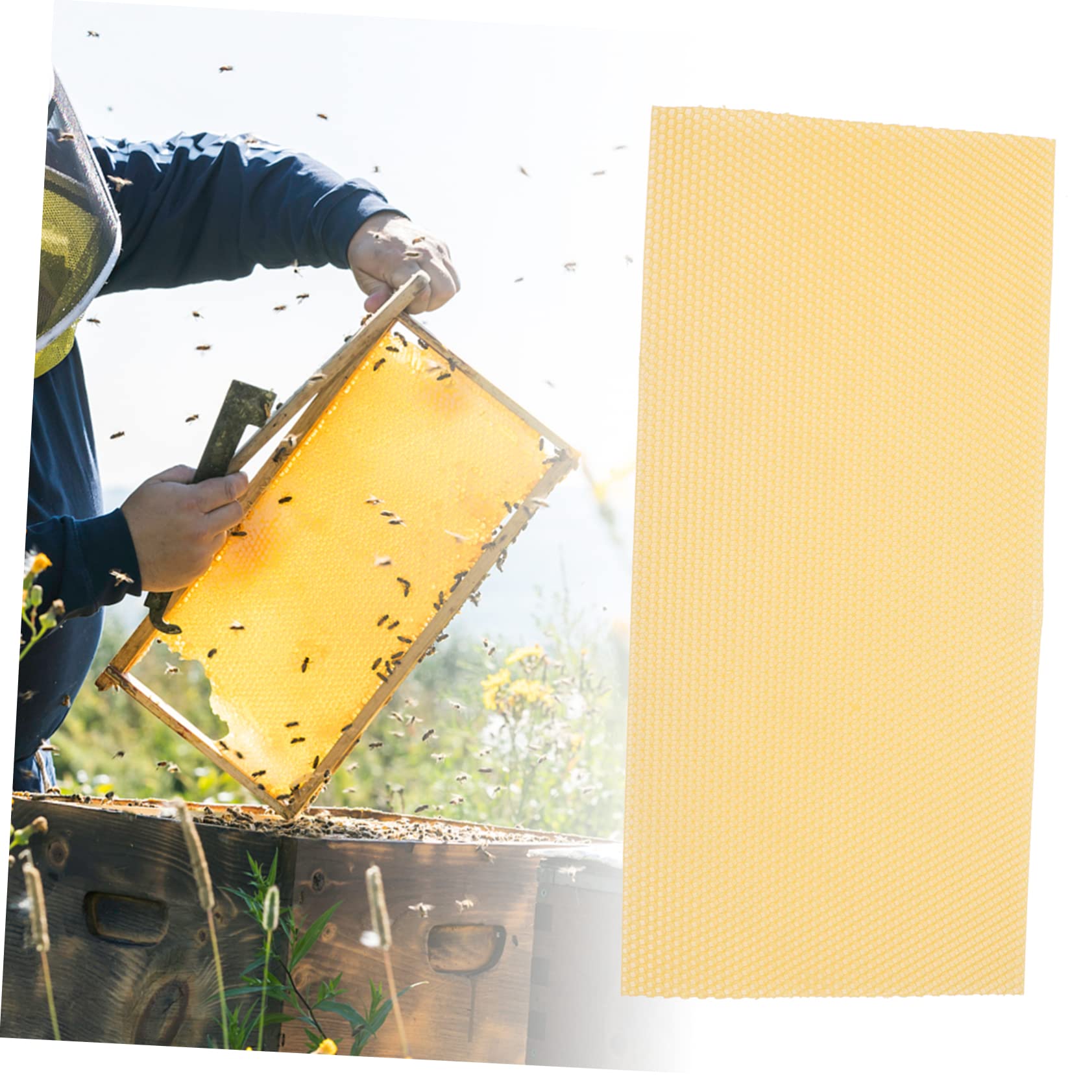 TOYANDONA 30 Láminas Base de Cera de Abejas para Colmenas Amarillas, Material de Cera Natural, Alta Producción y Rápido Anidado, para Fabricación de Velas y Apicultura