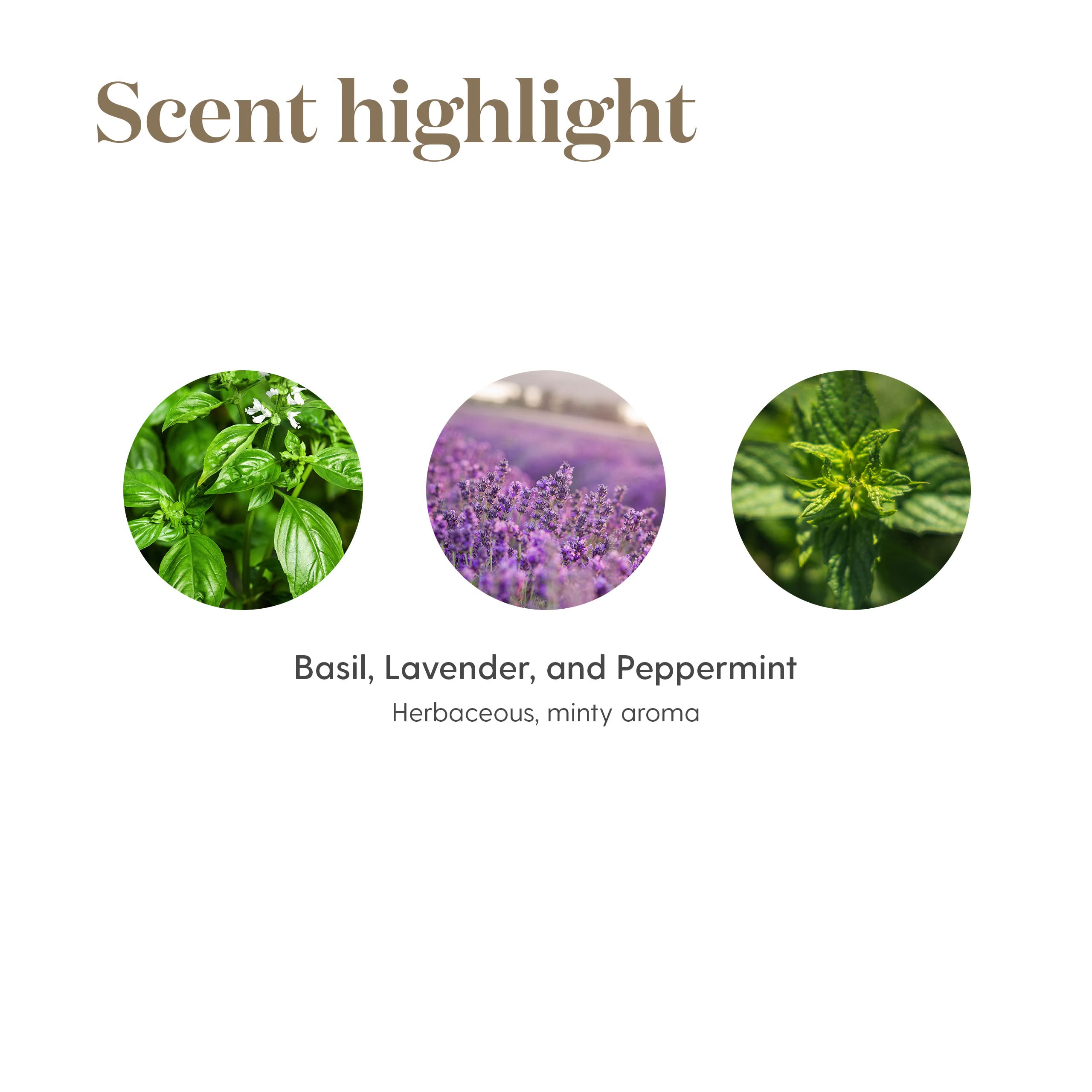 Amazon.com: Young Living M-Grain Essential Oil Blend - Add to