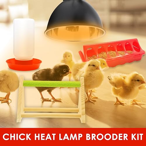 Miniatura 2 de Kit de comedero y bebedero para pollitos con lámpara de calor de 75 W, perca para pollitos, alimentador de aves de corral abatible, kit de inicio