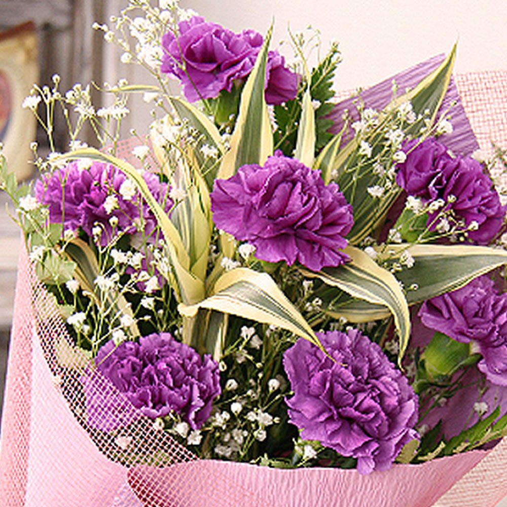 専用 紫色のカーネーションとアルストロメリア 4セット 10月下旬出品 葉織 新宿区のお花屋さん: 紫色のカーネーション「ミラージュ」