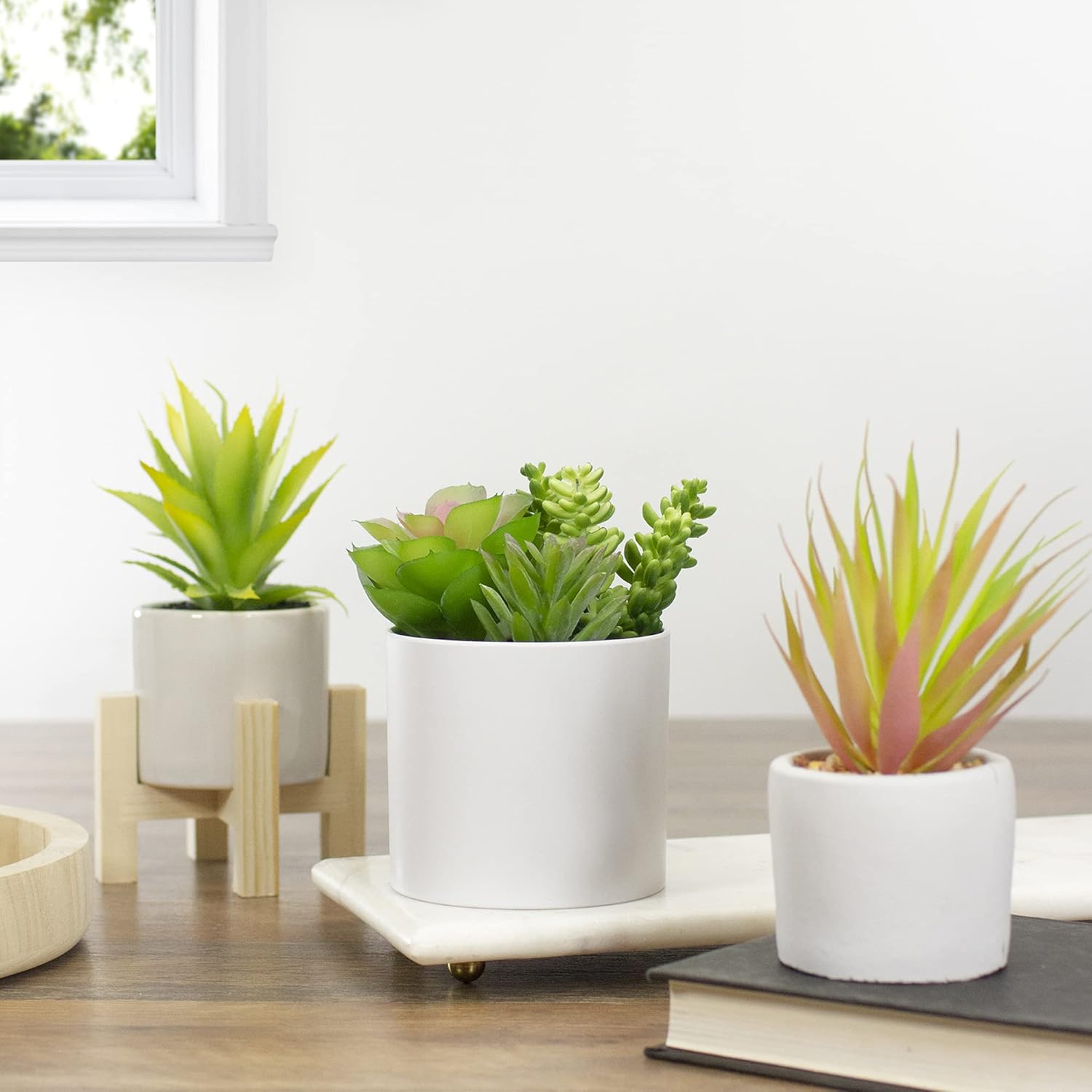 Northlight 5.5" Mixed Artificial Succulent Arrangement in a White Pot