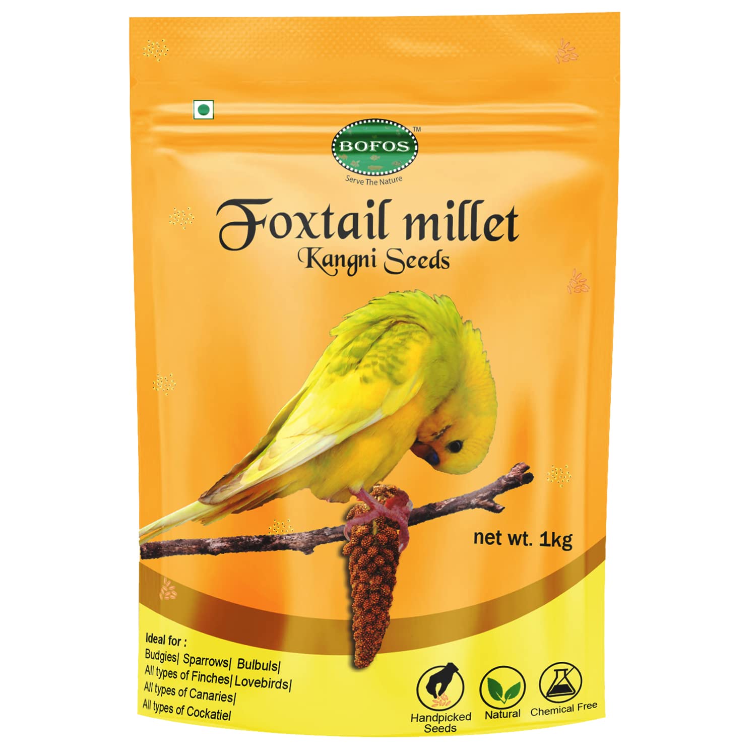 BOFOS kangni seeds for budgies, foxtail millet 1kg for birds (kangni seeds for birds, kangni seed for love birds, kangni seeds for sparrows, bulbuls, all types of finches, lovebirds, all types of canaries and all types of cockatiel birds food) Powerhouse of Nutrition to birds and balanced Diet to keep birds healthy.