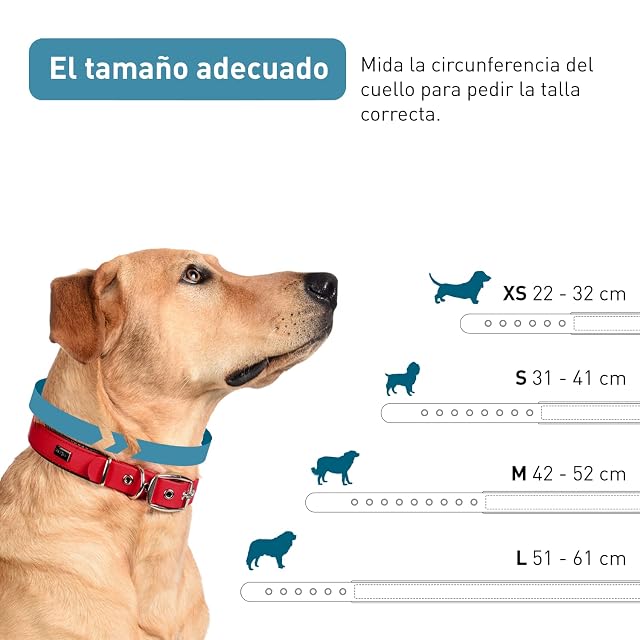 Foto 5 de 6 de PetTec Trioflex Collar para Perros - para Cachorros Pequeños, Medianos y Grandes