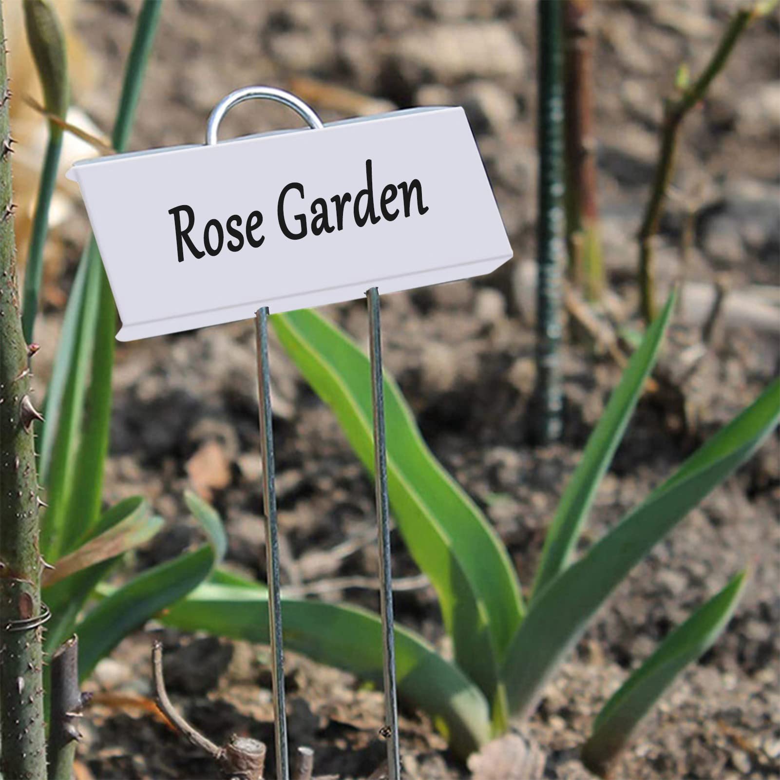 Amazon.co.jp: 30個 金属植物ラベル ガーデン植物マーカー 11インチ
