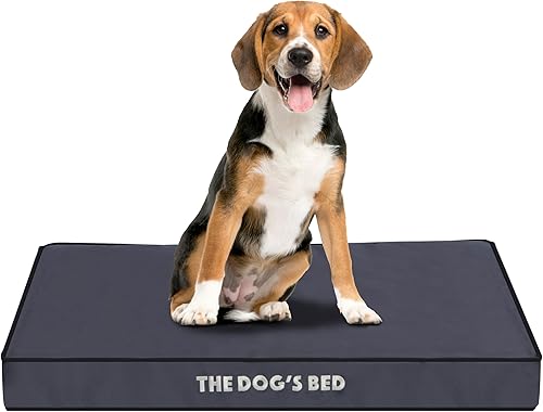 The Dog's Bed - Cama ortopédica para perro, gris medio con ribete negro, impermeable, cama de apoyo con fundas reemplazables lavables, aprobada por