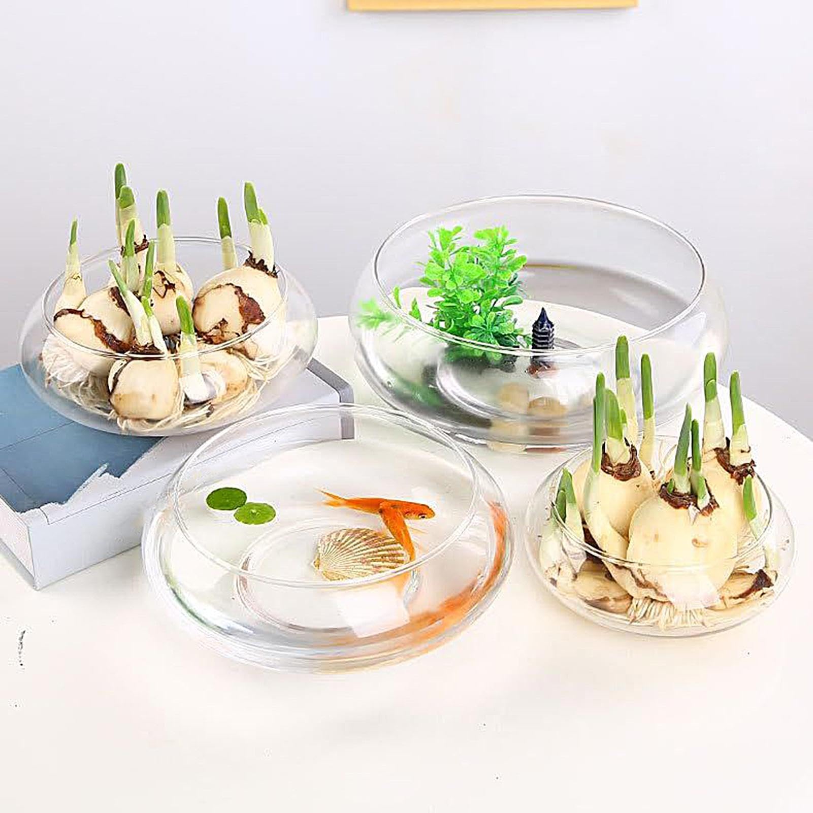 Miska Bonsai,Przezroczysty Szklany Wazon Dekoracyjny,25 cm Doniczkowa do Roślin Zewnętrznych | Do Narcyza Terrarium Ogrodu Wewnętrznego Podwórka Patio Trawnika Balkonu