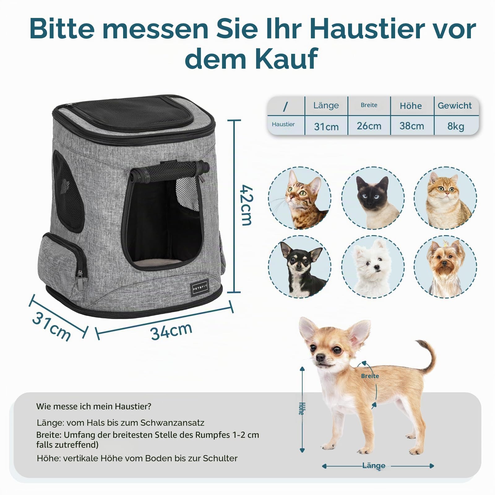 Petsfit Hunderucksack & Katzenrucksack für große Katzen bis 5kg - Leichter Katzen Rucksack mit Netzfenster, Brustgurt & Polster - Atmungsaktiver Rucksack für kleine Hunde, Grau