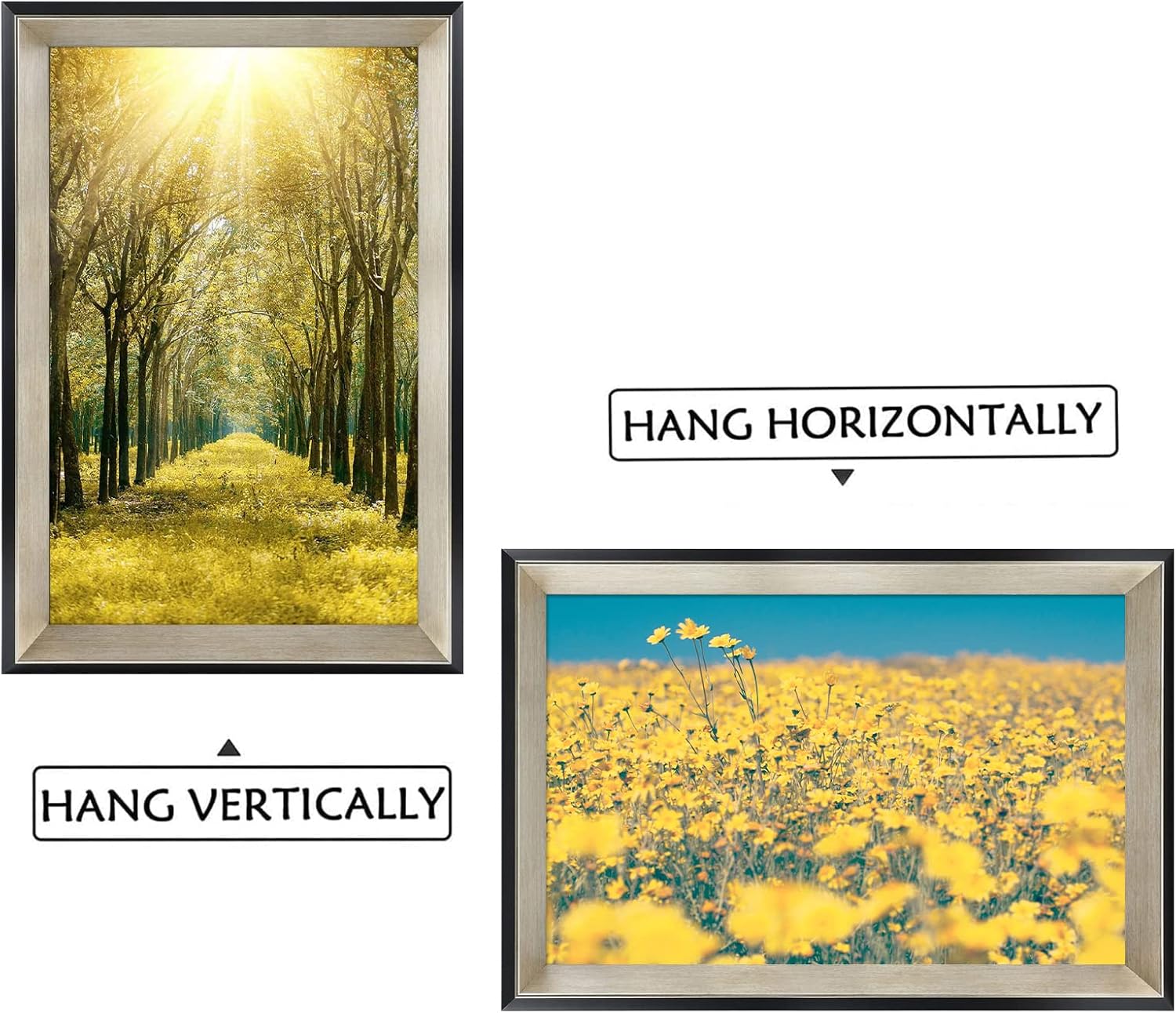 Space Art Deco, 11x17 Frame Without Mat Poster/Art/Picture Frame Shatter-Resistant Glass Sawtooth Hangers Wall Mount Display(11x17, Champagne Silver)