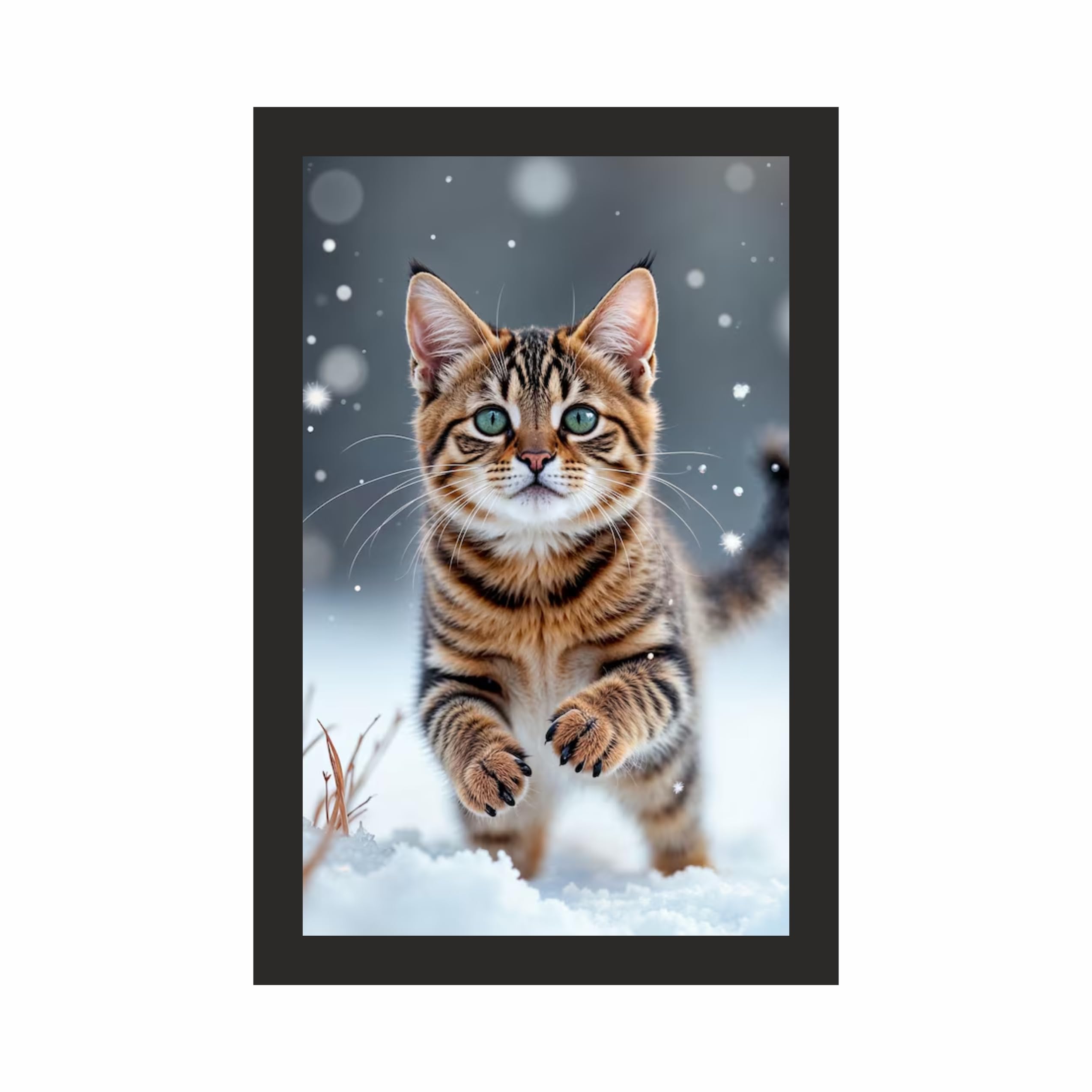 Cute Snow Kitten Wall Art Frame 12x18 Inch