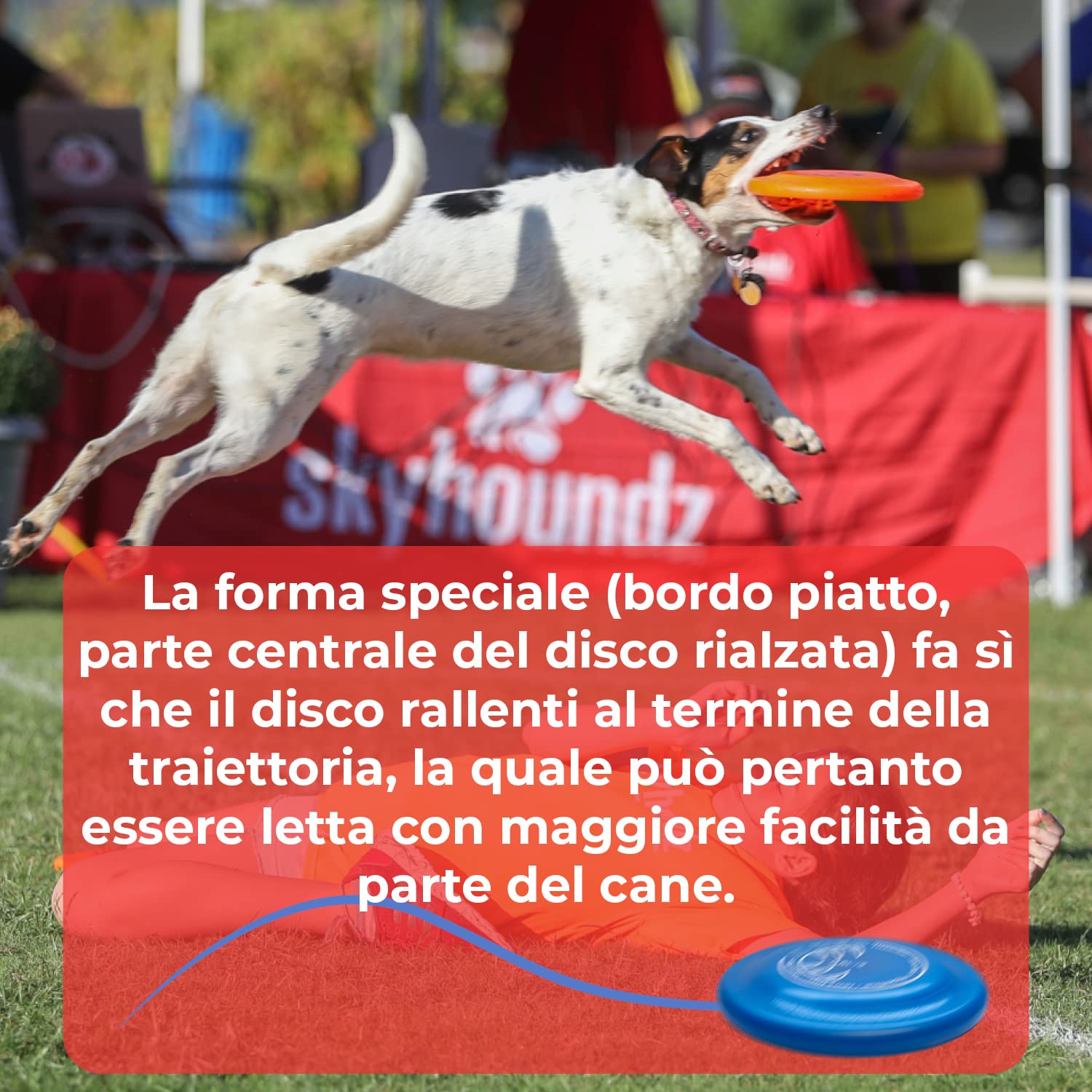 Hyperflite K10 Jawz Frisbee Resistente Morso per Cani per Discdogging - Blu