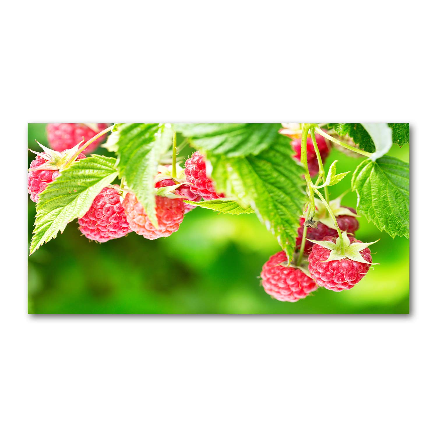 Déco murale acrylique glass picture 120x60 cm tableau rouge framboises pour salon