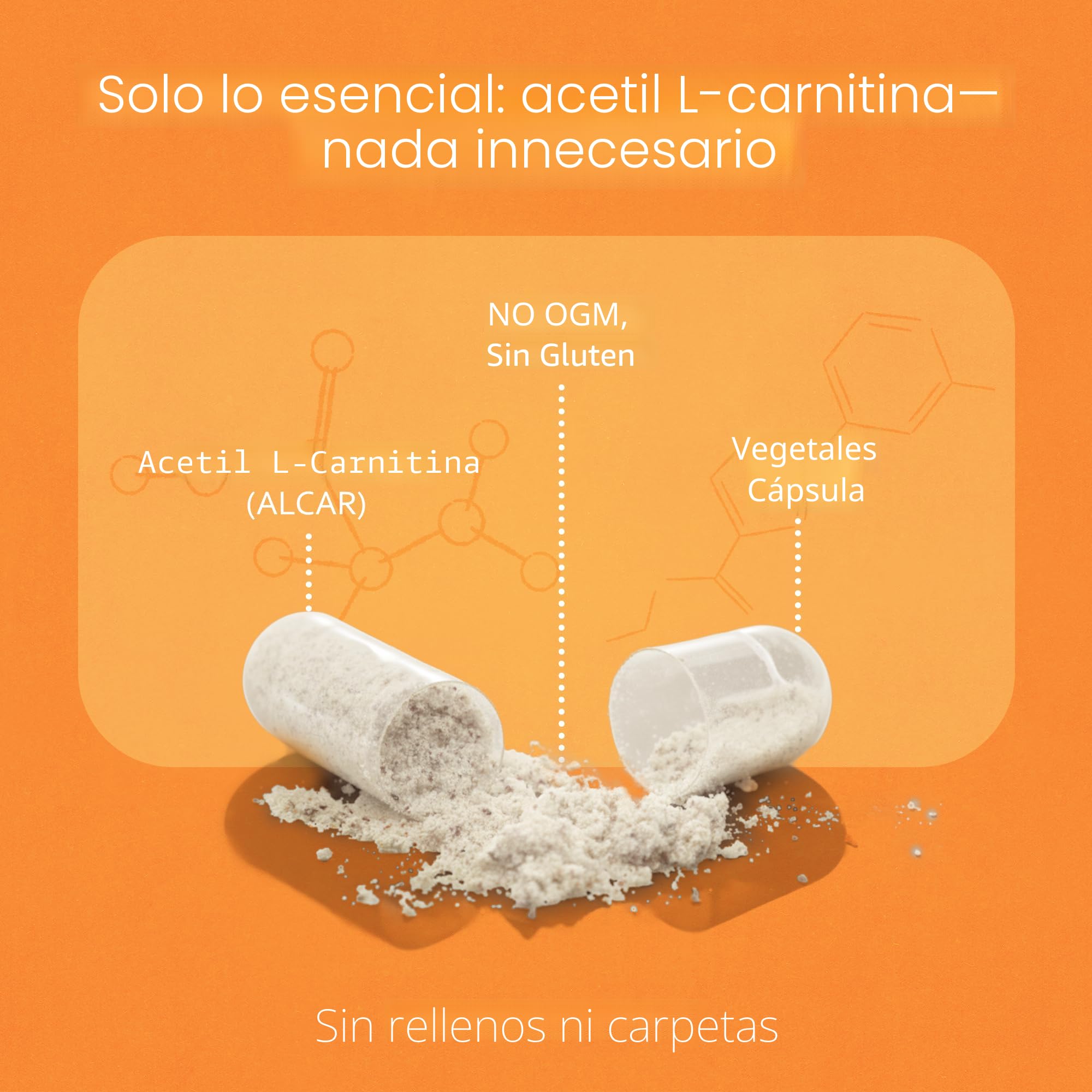 l carnitine glutamine Amazon.com: Pure Original Ingredients Acetyl L-Carnitine, L-Glutamine, and  BCAA Capsule Bundle (365 Capsules Each), No Magnesium or Rice Fillers :  Health & Household