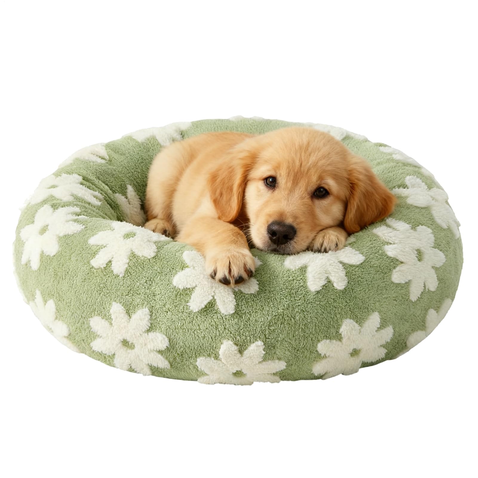 Niche de sommeil en peluche pour chat et chien idéale dans le salon