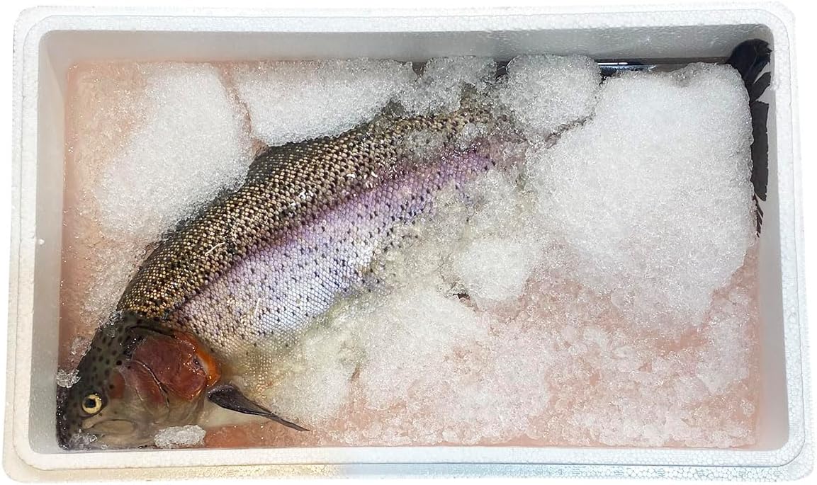 長野県産 アルプスサーモン 1尾 約2〜2.5kg前後 国産 サーモン 鮭 : 生鮮卸売市場 - 通販 - Yahoo!ショッピング 長野県産 アルプスサーモン 1 尾 約3～3.5kg前後 国産 サー モン 鮭 (3枚おろし)